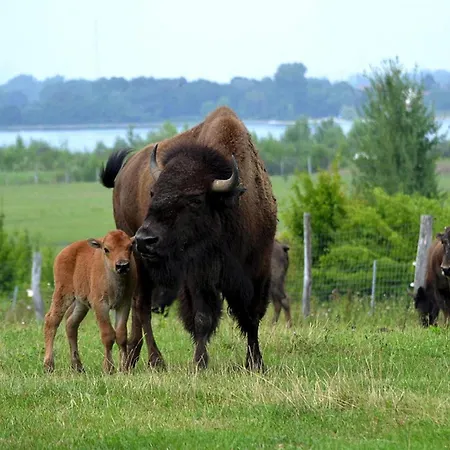 Seepark Auenhain Am Markkleeberger See, Cleaning Included 펜션