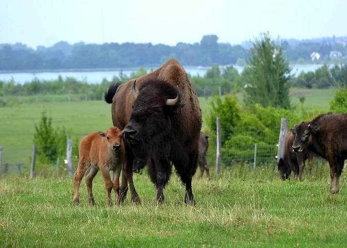 Seepark Auenhain Am Markkleeberger See, Cleaning Included Σπίτι διακοπών